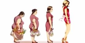 Как питаться, чтобы похудеть